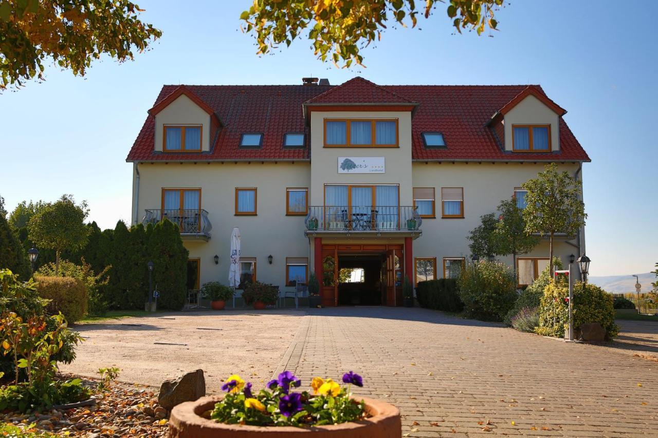 Fetzers Landhotel Ingelheim am Rhein Exteriör bild